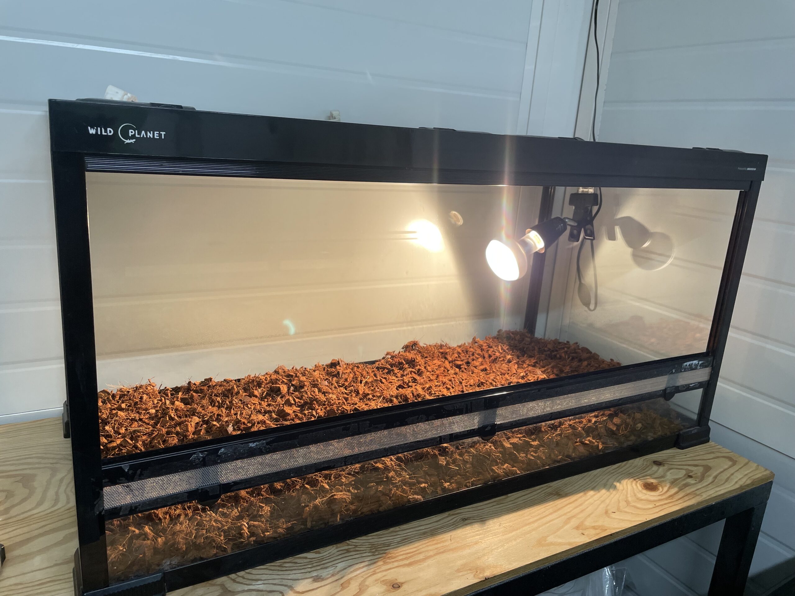 リクガメをお迎えする前にしっかり環境を整えてあげましょう