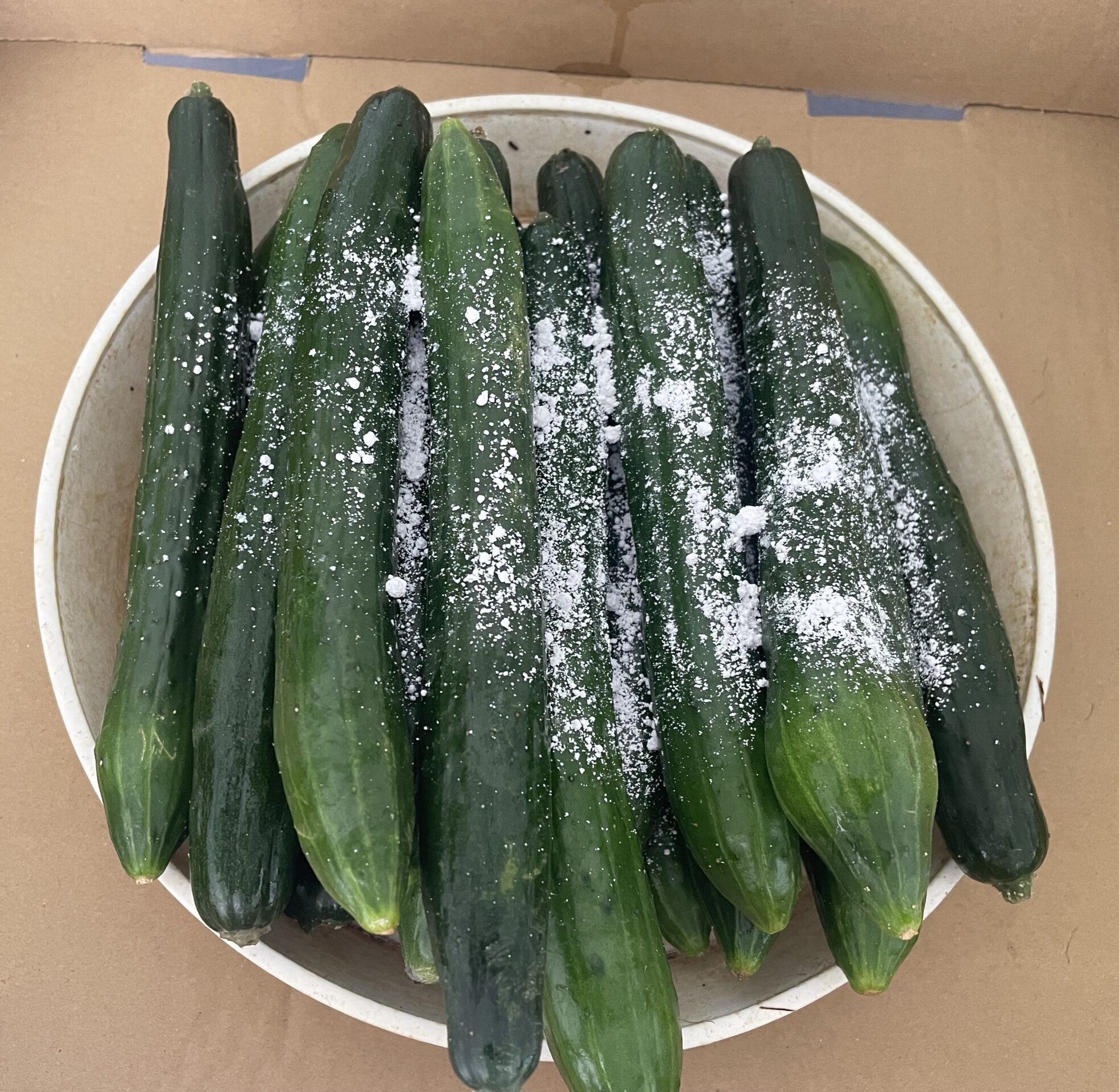 魚田亀太郎カルシウム剤ときゅうり